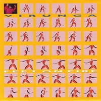 M'Safiri - Virunga & Samba Mapangala