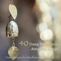Deep Meditation in Zen Garden - Naturescapes for Mindfulness Meditation