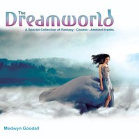 11.11 - Medwyn Goodall