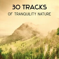 Breathing Meditation in the Rain - Beautiful Nature Music Paradise