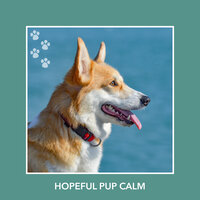 Lazy Thoughts - Calm My Dog