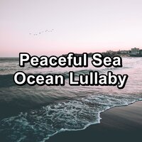 Beach Sounds Healing Water Sounds Ambience Sounds - Sleep Music & Nature Sounds Radio & Echoes of Nature