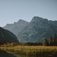 Melodías De Masaje - Meditación Guiada & Piano para Dormir & Música Relajante para Perros