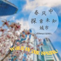 夜色迷离 - Circle of Notes