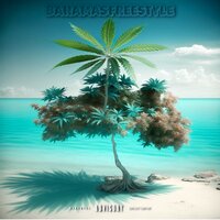 Bahamas Freestyle - VN