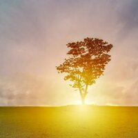 Mind Massage - Academia de Relaxamento e Meditação & Study Music & Sounds & Regengeräusche