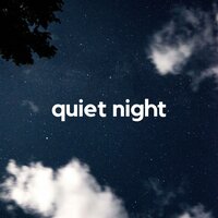 Quiet Night, Pt.14 - Sensitive ASMR