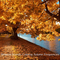 Ice River - Binaural Landscapes & Brain Timbre & Factorial FX