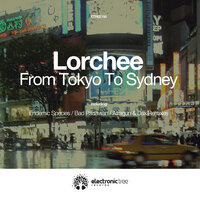 Sydney - Lorchee & Endemic Species