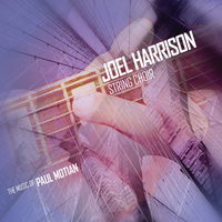 It Should Have Happened A Long Time Ago - Joel Harrison