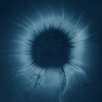 The Searcher - Robert Hoff