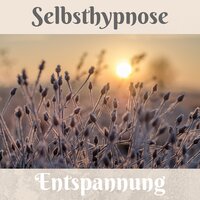 Zen Zimmer Stressabbau Schlaflied - Entspannung Schule