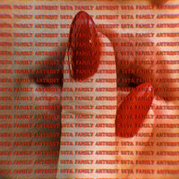 Антидот - 5sta Family