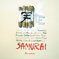 January Sun - Samurai Accordion