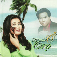 Đêm cuối - Trường Vũ