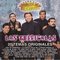 Deja de Llorar Chiquilla - Los Terricolas