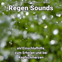 Friede zwischendurch - Regengeräusche zum Einschlafen Martin Jenton & Regengeräusche & Naturgeräusche
