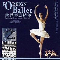The Swan Lake - South China Music Troupe