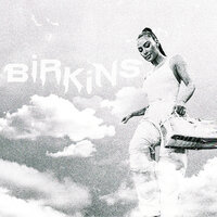 Birkins - zoahh