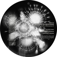 Matter & Spirit - Automatic Response