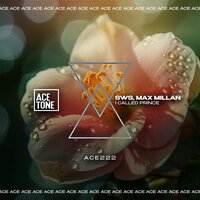 I Called Prince - SWS & Max Millan