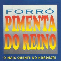 No Fogo da Paixão - Forro Pimenta do Reino