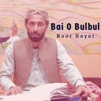 Bai O Bulbul - Noor Hayat