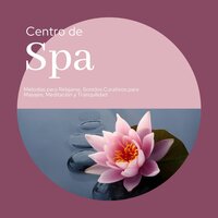 Ambiente Zen - Meditation Spa