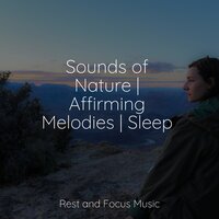 Philosophy - Kinderlieder-Superstar & Sounds of Nature White Noise Sound Effects & Baby Sleep Music