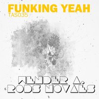 Funking Yeah - Wender A.