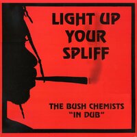 Raw Indica - Bush Chemists