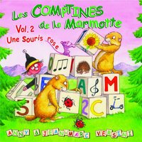 Pour t'apprendre à bien compter - Anny Versini