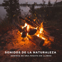 La Hja Del Fuego - Sonidos de fuego & La mejor musica instrumental & Música De Relajación Para Dormir Profundamente