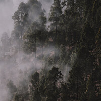 Cloud Soft Nine - Baby Sleep & Sounds Of Nature : Thunderstorm & REIKI