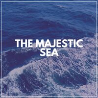 Hidden Paradise - Ocean Sounds Plus