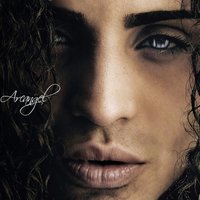 I Got Flow  (2070) - Arcangel
