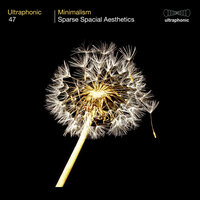 Kings Labyrinth - Ultraphonic