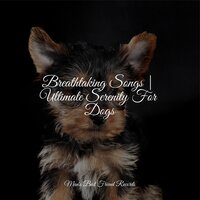Sleep Aid - Relaxation Music For Dogs & Calming Music for Dogs & Dog Music