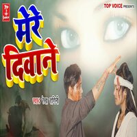 Mere Diwane - Rekha Ragini