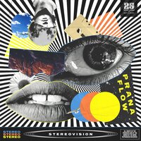 Stereovision - Prana Flow