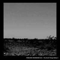 The Small Things Matter - Parallel