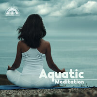 Feeling Alive - Mindfullness Meditation World