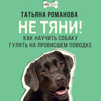 Татьяна Романова. «Не тяни! Как научить собаку гулять на провисшем поводке». Часть 5 - Филипп Матвеев-Витовский