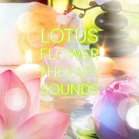 Healing Touch - Lotus Flower Academy