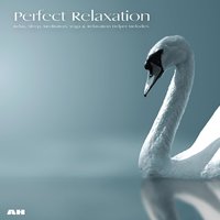 The Hidden Valley - Perfect Relaxation