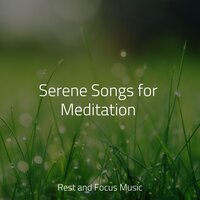 Magical Atmosphere - Brain Study Music Guys & Schlaflieder Für Kinder & Entspannungsmusik