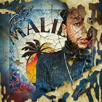 Callí-Malibu - Çallı
