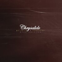 We Are Not Cursed - Chrysalide