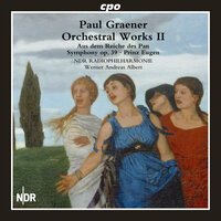 Symphony in D Minor, Op. 39, "Schmied Schmerz": I. Larghetto, Allegro (appasionato) - NDR Radiophilharmonie