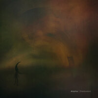 Being Followed - Amphior